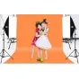 Studio Daylight - Puluz Studio softbox 50x70cm, tripod, LED bulb 4 pcs PU5071EU - buy today in Master Foto store and with delivery Best choise selected by experts