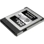 Memory Cards - LEXAR CFEXPRESS PRO SILVER SERIE R1000W600 256GB LCXEXSL256G-RNENG - quick order from manufacturer Best choise selected by experts