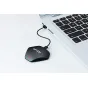 Atmiņas kartes - LEXAR CARDREADER MULTI-3-IN-1 SD/MICRO SD/CF - USB 3,1 (USB TYPE C) LRW500URB - ātri pasūtīt no ražotāja
