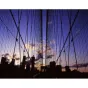 Foto filmiņas - VELVIA RVP 100/120 x 5 - ātri pasūtīt no ražotāja