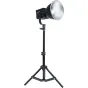 Statīvi apgaismojumam - NANLITE LS-60 LIGHT STAND LS-L60-5/8 - perc šodien veikalā un ar piegādi