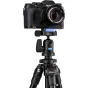 Video Tripods - Benro TSL08AN00 foto statīvs ar galvu - buy today in store and with delivery