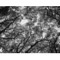 Foto filmiņas - Rollei RPX 100 roll film 120 - perc šodien veikalā un ar piegādi