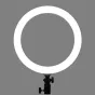 Ring Light - Godox LR120 LED dimmable bi-color ring light - 30cm / 3000K-6000K / RGB / 0-100 - quick order from manufacturer Best choise selected by experts