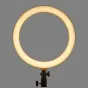 Ring Light - Godox LR120 LED dimmable bi-color ring light - 30cm / 3000K-6000K / RGB / 0-100 - quick order from manufacturer Best choise selected by experts