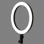 Ring Light - Godox LR120 LED dimmable bi-color ring light - 30cm / 3000K-6000K / RGB / 0-100 - quick order from manufacturer Best choise selected by experts