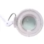Palielināmie stikli - Byomic Table Magnifier v2 with Clamb LED - ātri pasūtīt no ražotāja