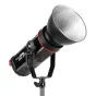 LED Monobloki - Falcon Eyes LED Lamp Dimmable DSL-200T on 230V - ātri pasūtīt no ražotāja