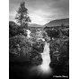 Foto filmiņas - Ilford film Ortho Plus 135-36 1180958 - ātri pasūtīt no ražotāja
