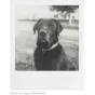 Instantkameru filmiņas - POLAROID B&W FILM FOR SX-70 6005 - perc šodien veikalā un ar piegādi