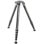 Foto statīvi - Gitzo tripod GT5563GS Giant Systematic Series 5 GT5563GS - ātri pasūtīt no ražotāja