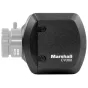 Pro video kameras - Marshall CV368 Full-HD Compact Camera (MACV368) - ātri pasūtīt no ražotāja
