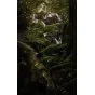 Objektīvi - SAMYANG AF 50MM F 1.4 SONY FE II F1211106102 - perc šodien veikalā un ar piegādi