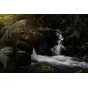 Objektīvi - SAMYANG AF 50MM F 1.4 SONY FE II F1211106102 - perc šodien veikalā un ar piegādi