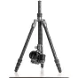 Photo Tripods - Benro FRHN24CVX25 karbona statīvs ar lodveida galvu - quick order from manufacturer