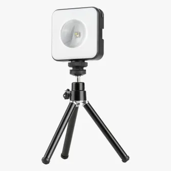 LED Phone Light - LED Light Newell RGB-W Rangha Nano Sunset - quick order from manufacturer