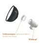 Softboksi - Walimex pro Studio Line Beauty Dish Softbox QA65 - ātri pasūtīt no ražotāja