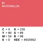 Backgrounds - Superior Background Paper 91 Watermelon 2.72 x 11m - quick order from manufacturer Best choise selected by experts