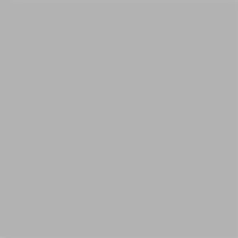 Produkto paveikslėlis