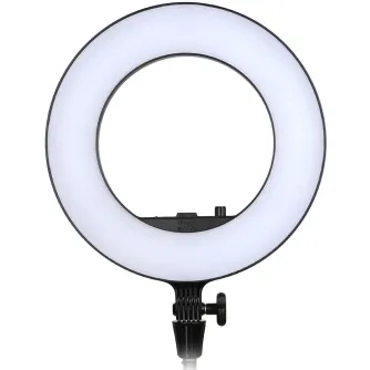 Ring Light - Godox LR180 Daylight Ringlight 5600K - quick order from manufacturer Best choise selected by experts