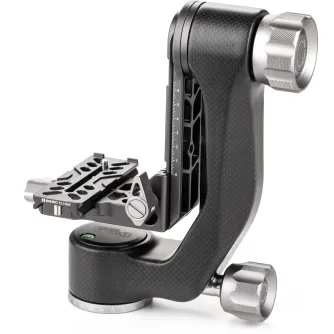Tripod Heads - Benro GH5CMini karbona 360 galva - quick order from manufacturer