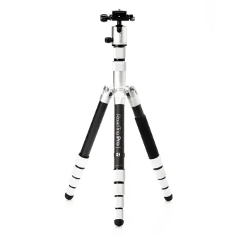 Foto statīvi - MeFOTO MBRTPROCSLV RoadTrip PRO Carbon Fiber Series 1 (6 in 1) CF statīvs sudraba - perc šodien veikalā un ar piegādi