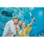 360, VR, Tiešraides kameras - Ricoh/Pentax RICOH THETA SC2 Blue - ātri pasūtīt no ražotāja