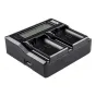 Kameras bateriju lādētāji - Newell DC-LCD two-channel charger for NP-FP, NP-FH, NP-FV series batteries - ātri pasūtīt no ražotāja