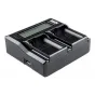 Kameras bateriju lādētāji - Newell DC-LCD two-channel charger for DMW-BLF19E batteries - ātri pasūtīt no ražotāja
