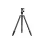 Foto statīvi - Fotopro Tripod X-go Chameleon with FPH-52Q ball head - black - ātri pasūtīt no ražotāja