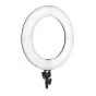 Ring Light - Weeylite WE-10S Full RGB Ringlight 18 inch - quick order from manufacturer Best choise selected by experts