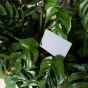 White Balance Cards - Caruba Grey Card DGC 1 - quick order from manufacturer Best choise selected by experts