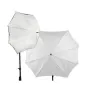 Westcott 40x50 / 102cmx127cm Ed Pierce Edition Halo 147