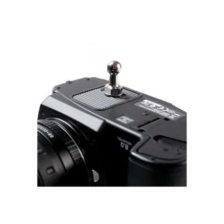 Spider Black Widow Pin