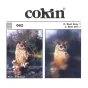 Kvadrātiskie filtri - Cokin Filter P062 C.Spot Grey 1 - ātri pasūtīt no ražotāja