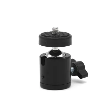 Caruba Mini Balhoofd (1/4F 1/4M) BR 2