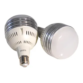 Replacement Lamps - Caruba Bulb 60W (Caruba All-in-1 Light Set (Softbox / LED)) - quick order from manufacturer