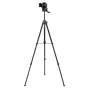 Sortimenta jaunumi - Caruba Blackstar 175 Tripod - ātri pasūtīt no ražotāja