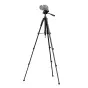 Sortimenta jaunumi - Caruba Blackstar 151 Tripod (Fullsize) - ātri pasūtīt no ražotāja