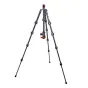 Foto statīvi - 3 Legged Thing Pro 2.0 Leo Carbon statīvs un AirHed Pro LV Grey - ātri pasūtīt no ražotāja