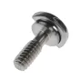Sortimenta jaunumi - Caruba 1/4" Screw with D-Ring - Extra Long - ātri pasūtīt no ražotāja