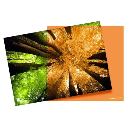 Cokin Filter X002 Orange