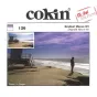 Kvadrātiskie filtri - Cokin Filter A126 Gradual Mauve M1 - ātri pasūtīt no ražotāja