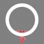 Discontinued - Godox LR150 LED Ring Light Pink 