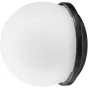 Gaismas veidotāji - Westcott FJ80 Magnetic Diffusion Dome - ātri pasūtīt no ražotāja