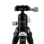 Sortimenta jaunumi - Fotopro P-2 Mini+P2H Carbon Tripod with Head - ātri pasūtīt no ražotāja