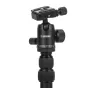 Sortimenta jaunumi - Caruba Travelstar 143 Carbon Tripod - ātri pasūtīt no ražotāja