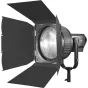 Barndoors Snoots & Grids - Godox Fresnel barndoor for 10 inch lens - quick order from manufacturer