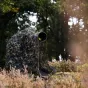 Camouflage - Caruba Camonet Woodland 400x150cm - quick order from manufacturer