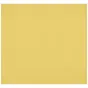 Foto foni - Westcott X-Drop Pro Wrinkle-Resistant Backdrop - Canary Yellow (2.4 x 2.4 m) - ātri pasūtīt no ražotāja